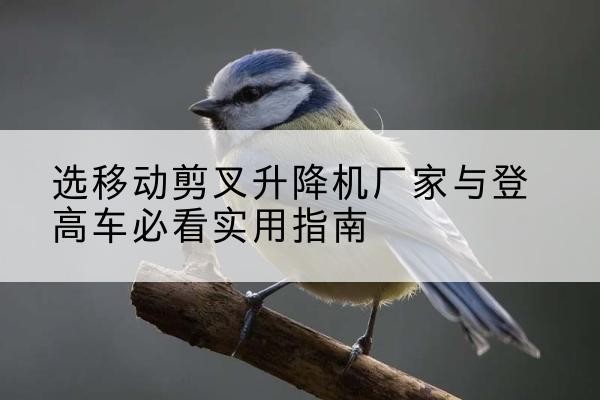 东安电动升降机厂家-选移动剪叉升降机厂家与登高车必看实用指南