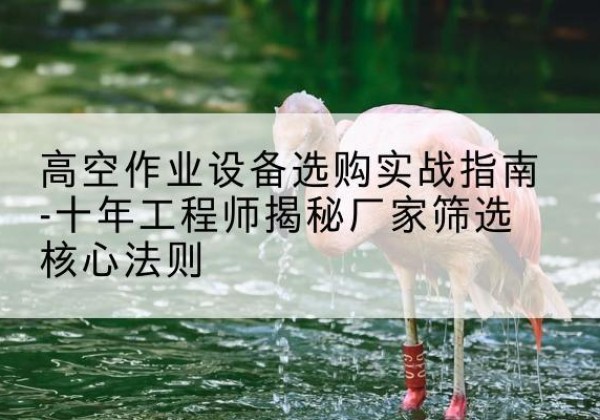 东安剪叉式升降机厂家-高空作业设备选购实战指南-十年工程师揭秘厂家筛选核心法则